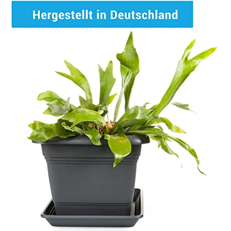 2friends 3er Set Pflanzkübel groß außen, Blumentopf Gross mit Untersetzer 40x40 cm, Pflanztöpfe Blumenkübel Blumentöpfe Pflanztopf Pflanzentopf, Made in Germany, Model: Kay, Farbe: Anthrazit – Bild 4