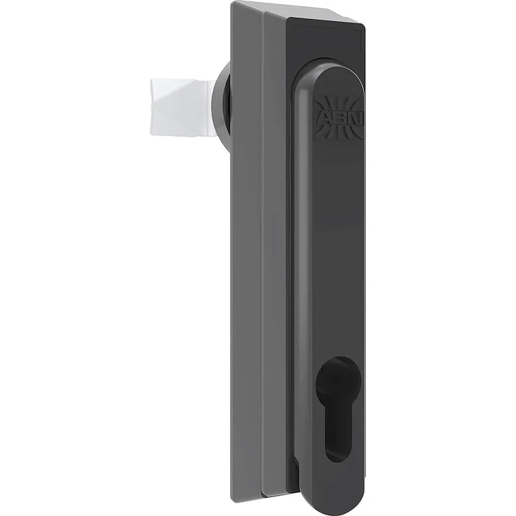 ABN Schwenkhebel GDV120N10 (VE10)