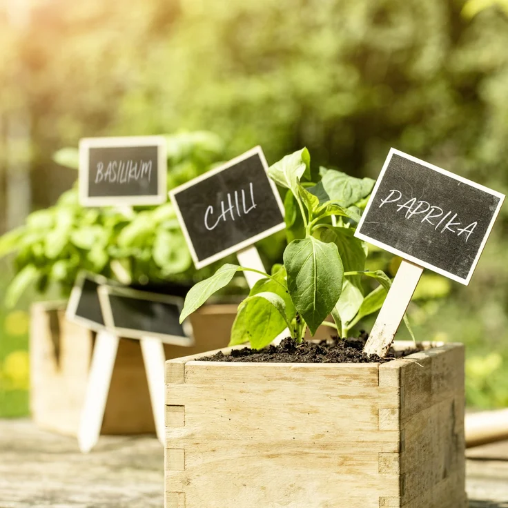 Windhager Stecketiketten Kreidetafel 7,5 x 17,5 cm, 10 Stück – Bild 3