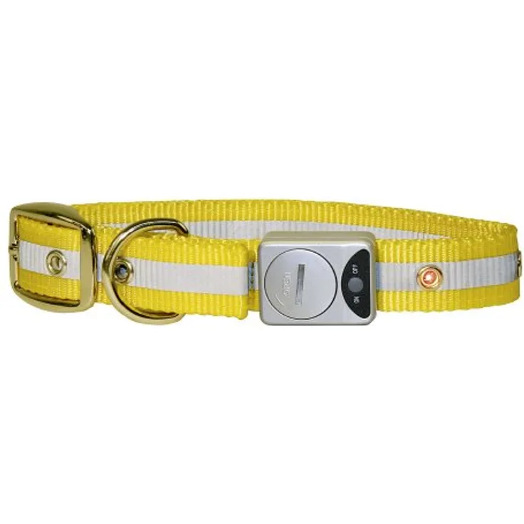 Flash & Reflex Hunde Halsband gelb, 25 mm / 35 bis 43 cm