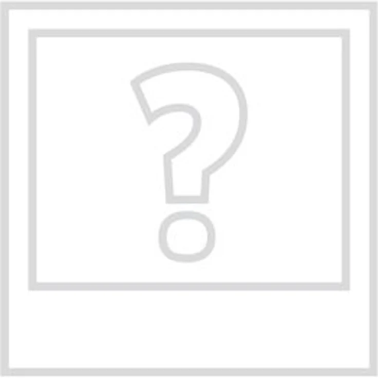 Kärcher 2. Seitenbesen links, Zubehör für Reinigungsgeräte, inkl. Standardseitenbesen zur Flächenleistungserhöhung