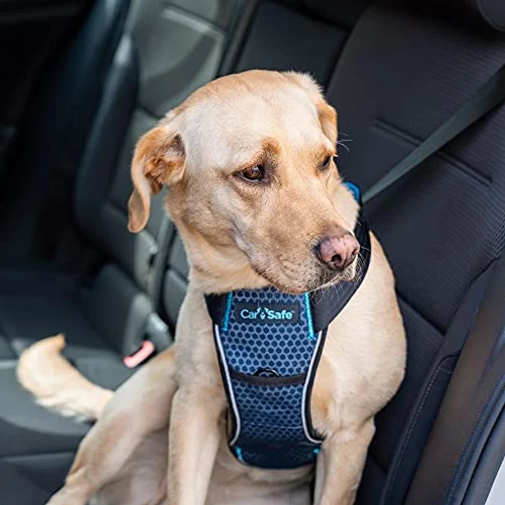Company of Animals Hunde-Geschirr CarSafe Crash Tested Hundegeschirr blau, gepolstert, atmungsaktiv, flexibel, sicher bis 32 kg, reflektierend – Bild 2