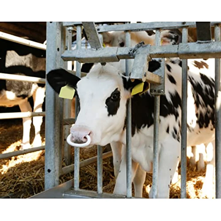 Kerbl 13140/2 SuckStop Müller Viehsaugentwöhner für Kälber und Jungvieh, 2 Stück – Bild 4