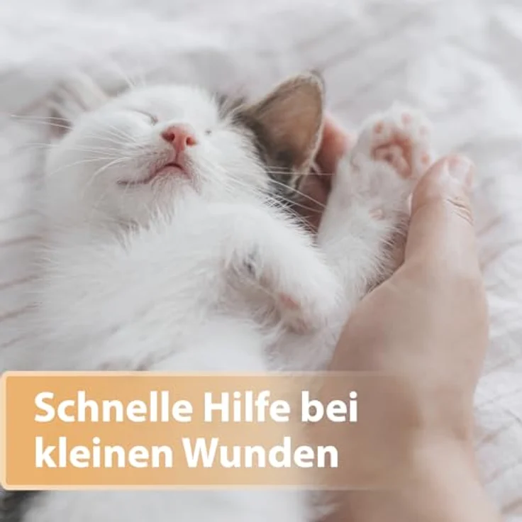 Felisept Wundspray für Katzen, 75ml - Optimale Wundversorgung, schmerzfreie Anwendung, von Tierärzten empfohlen – Bild 2