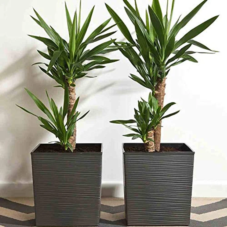 Siena Garden Pflanzgefäß Biron graphit Kunststoff 40 cm – Bild 2