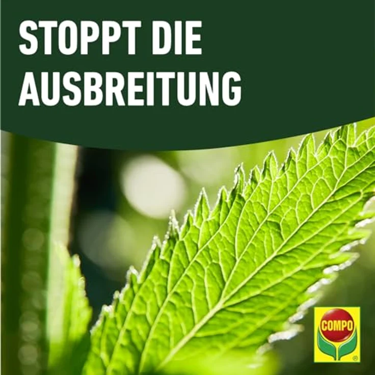 Compo Duaxo Universal Pilz-frei AF, 2.5 L, Anwendungsfertiges Fungizid-Spray gegen Pilzkrankheiten an Zierpflanzen, Gemüse und Kräutern – Bild 7