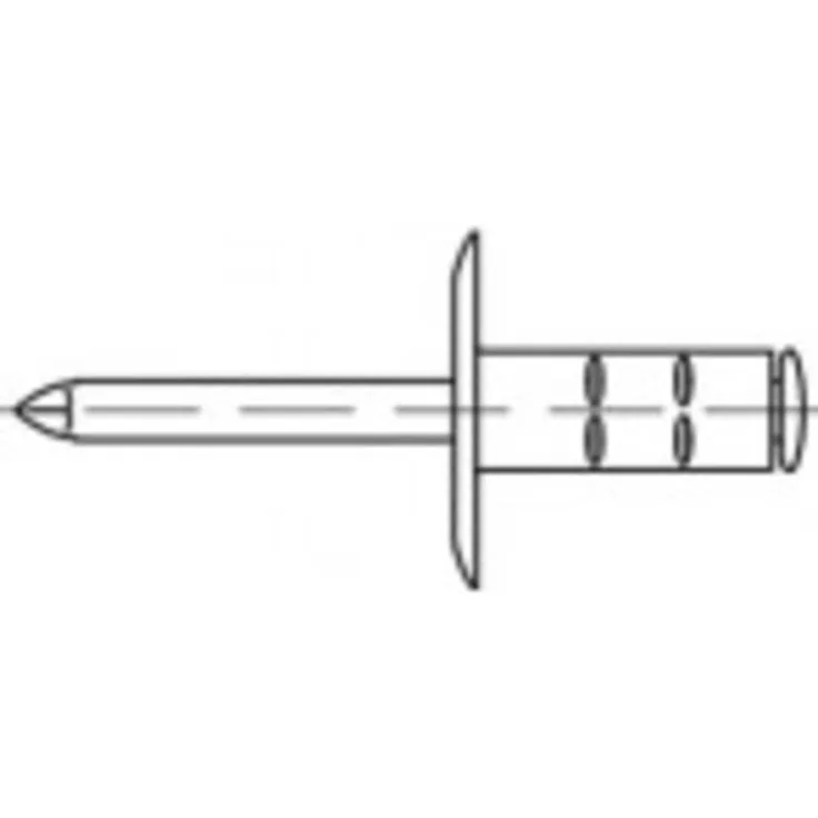 TOOLCRAFT TO-5455260 Offene Blindniete, 4.8 mm, 100 Stück