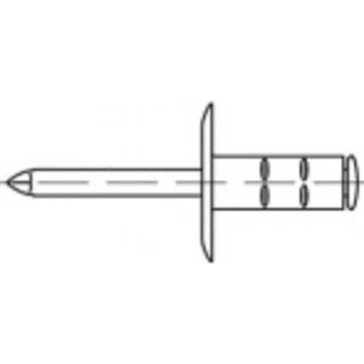 TOOLCRAFT TO-5455260 Offene Blindniete, 4.8 mm, 100 Stück