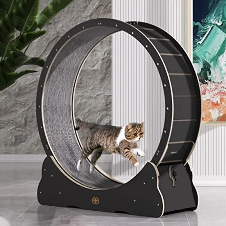 CanadianCat Company | Katzenlaufrad aus Holz - CatInMotion - XL Ø 120 cm - Spiel- & Trainingsgerät für Katzen | Bausatz Schwarz