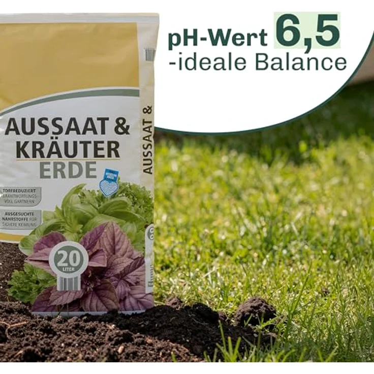 Blumixx Stauden Alchemilla sericata Gold Strike - Frauenmantel – Bild 5