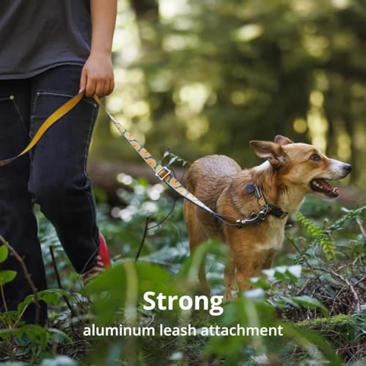 Ruffwear Hunde-Halsband CRAG™ COLLAR 25802-972, Canyon Oxbow, Reflektierendes Tubelok Webstoff, Aluminium V-Ring, Seiten-Klickverschluss – Bild 6