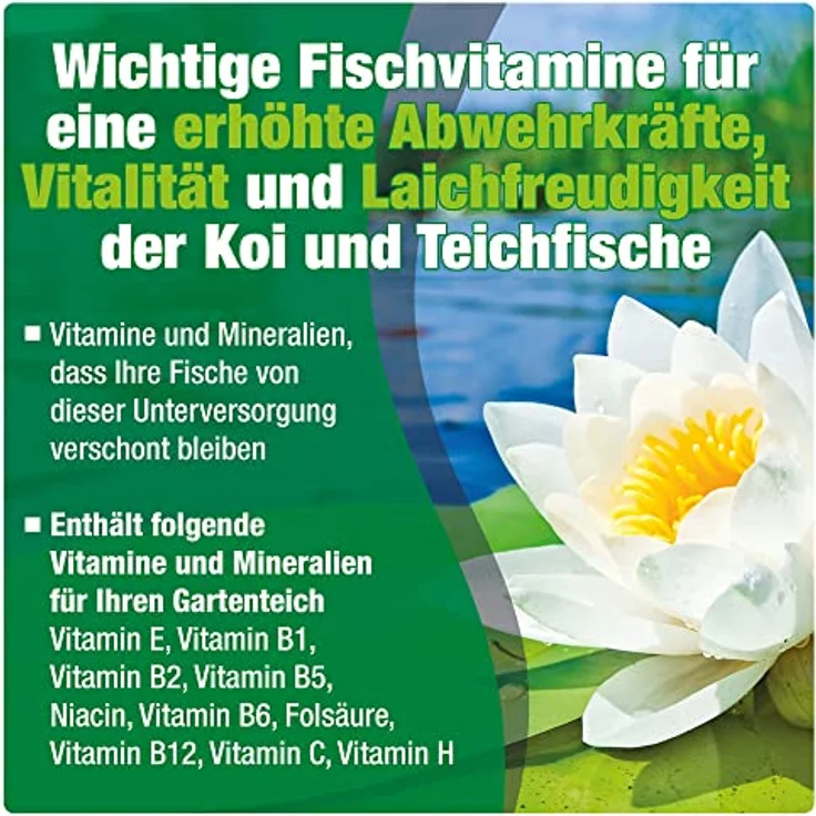 AQUALITY Gartenteich Vitamine & Mineralien Pond 3in1 (Lebenswichtige Fischvitamine für eine erhöhte Abwehrkraft, Vitalität und Laichfreudigkeit), Inhalt:5 Liter – Bild 2