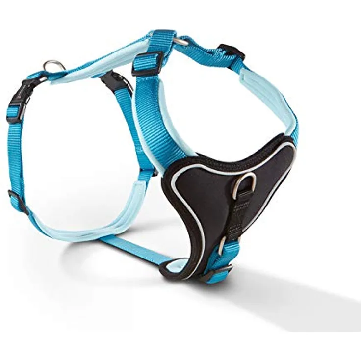 Wolters | Geschirr Professional Comfort in Aqua/Azur | Brustumfang 40 - 45 cm