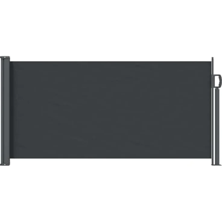 vidaXL Ausziehbare Seitenmarkise Schwarz, 300 x 100 cm, UV-beständig und wasserabweisend, mit stabiler Stahlkonstruktion – Bild 1
