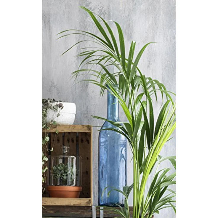 Mica decorations 1006829 Flasche Rioja, blau – Bild 6