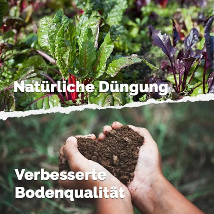 DIMIKRO Bokashi Ferment 1 Kg - Bio Fermentationshilfe für Bokashi Eimer und Kompost, natürlicher Geruchsentferner, 100% vegan, mit effektiven Mikroorganismen – Bild 5