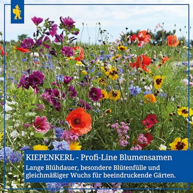 Kiepenkerl Saatgut Schattenblumen 3-4 m² - Preisvergleich – Bild 5