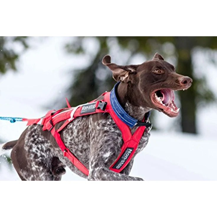 Non-stop dogwear Combined Harness (Hunde-Zuggeschirr) | geeignet für Skijöring und Pulka, schwarz – Bild 1