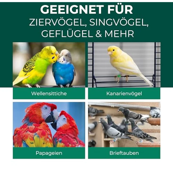Silberkraft Insektenspray Milbenspray für Ziervögel & Geflügel, 250 ml, effektiver Langzeitschutz vor Milben & Parasiten, hergestellt in Deutschland – Bild 3