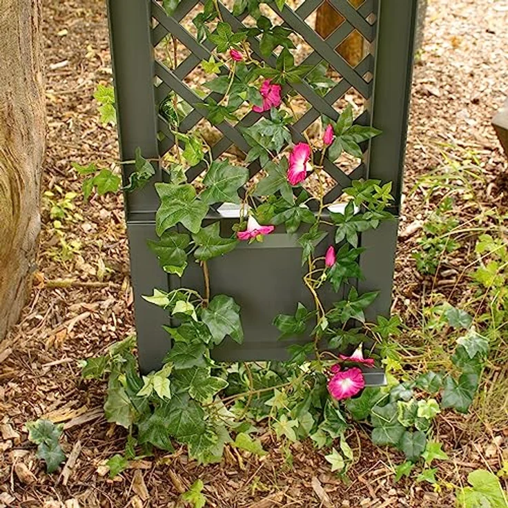 NYVI Spalier mit Erdspießen NYVIGreen 140x43 cm - Rankgitter aus wetterfestem & recyceltem Kunststoff - Rankhilfe - Pflegeleicht, Steckmontage ohne Werkzeug, Farbe:Anthrazit – Bild 5