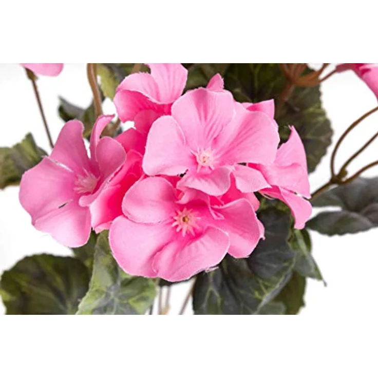 Botanic-Haus Kunstblume Geranienbusch, 2er Set mit roten, weißen oder rosa Blüten, Höhe 37 cm – Bild 2