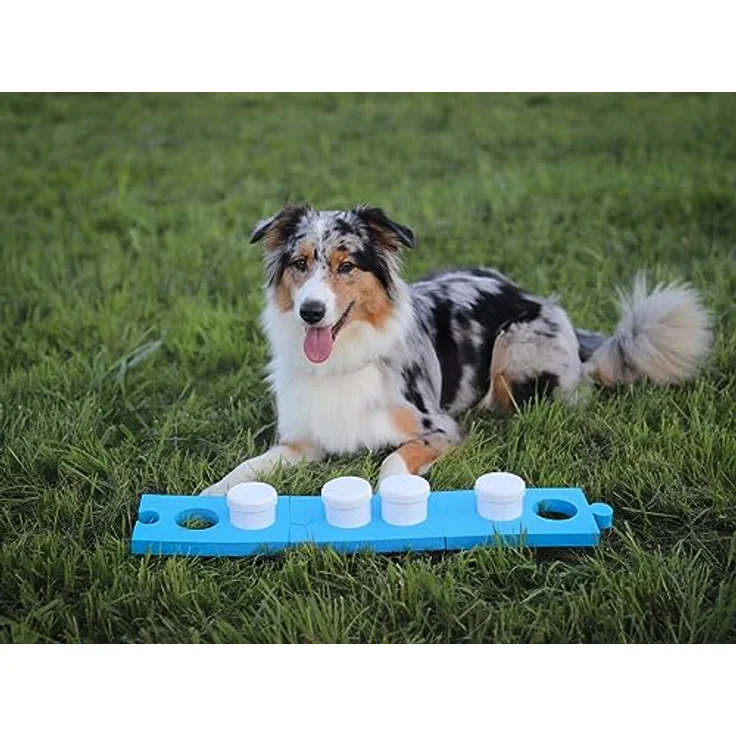 Lemodo Schnüffelset für Hunde mit 4 Dosen, Hundetraining, Geruchssinn, Agility Training für Hunde – Bild 4