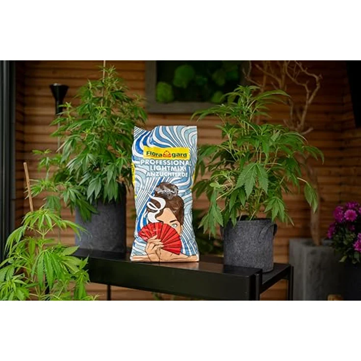Floragard Light Mix Anzuchterde 60 L (3×20 L) – lockere Grow-Erde mit Perlite & Trichoderma, pH-optimiertes Anzucht-Substrat, 4 Wochen vorgedüngt für Samen, Stecklinge & Jungpflanzen – Bild 4