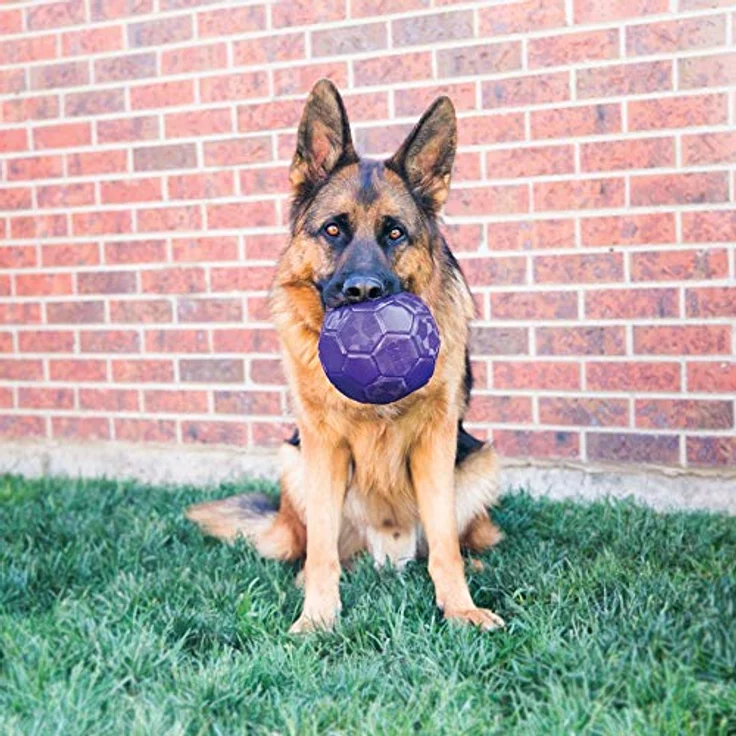 Kong Flexball für mittelgroße und große Hunde, All breeds of dog ,1 Stück (1er Pack) – Bild 2