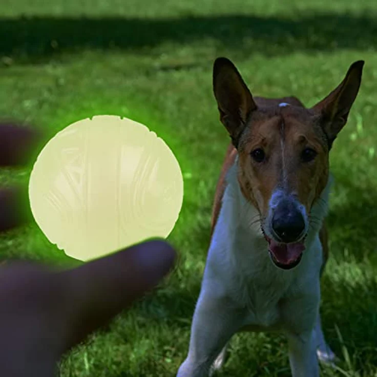SKIPDAWG Neon Glow Ball, leuchtet im Dunklen, für Hunde, hochwertiger TPR-Kunststoff, mit Quietscher, sehr gut für Ballschleuder – Bild 2