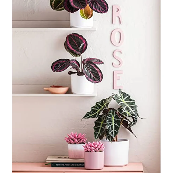 Dehner Übertopf Nele, Ø 28 cm, Höhe 24 cm, Keramik, weiß – Bild 2