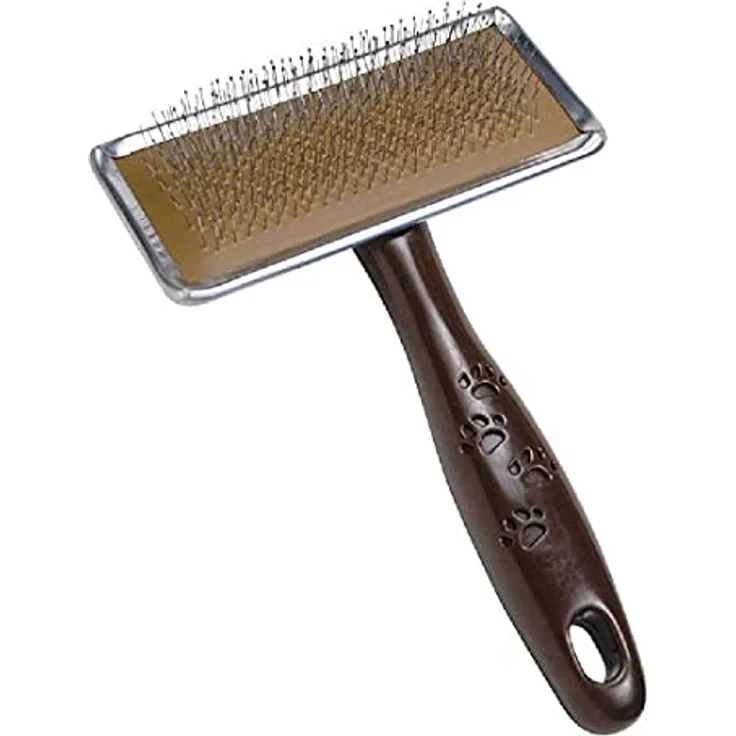 Gloria Carda Bolitas M