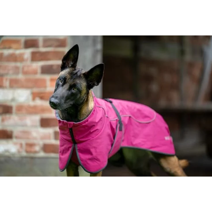 Wolters Hundemantel Cape Drizzle, wasserdichte Ganzjahresjacke mit reflektierenden Details, in Magenta und Orange, verschiedene Größen – Bild 2