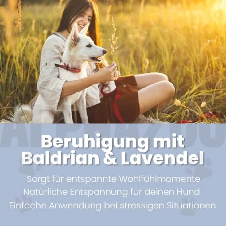 ALPHAZOO Seelenruhe Körbchenspray für Hunde, 250 ml, Natürliches Anti-Stress Beruhigungsmittel mit Baldrian – Bild 2