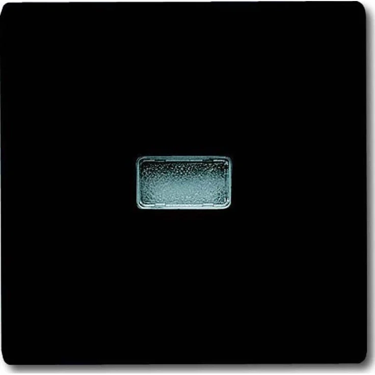 Busch-Jaeger Wippe anth 2107-35, einteiliger Abdeckrahmen für Schalter, IP44, glänzend, 70 mm x 70 mm
