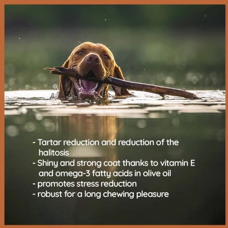 Wildfang® 1 Olivenholz Kaustab für Hunde, 100% natürlich, Zahnpflege & Training, für Hunde bis 15kg, S – Bild 5