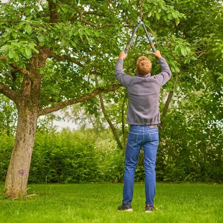 Gardena Astschere TeleCut Pro S, teleskopierbar, maximale Schneidleistung 50 mm, rostfreie Klingen – Bild 5