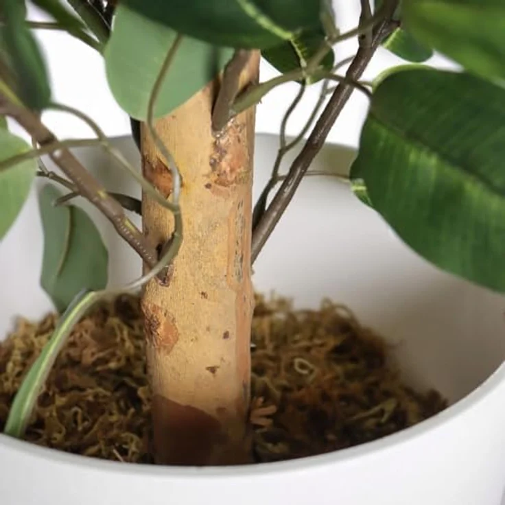 hjh OFFICE Kunstpflanze 65 cm FICUS II Deko Pflanze künstlich, Birkenfeige in natürlicher Optik, pflegeleichter Kunstbaum – Bild 3
