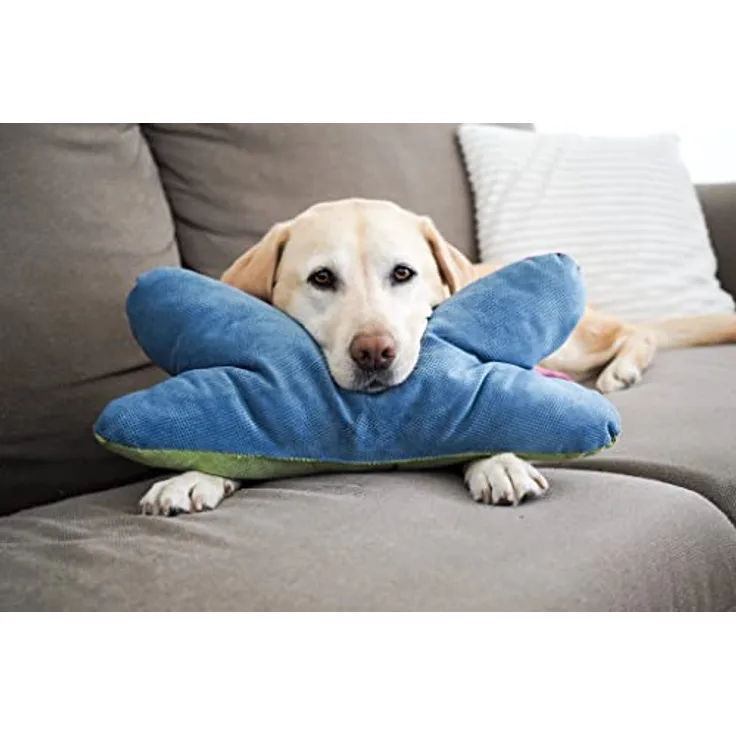 Lebon - Cruto XL Color - Hundekissen Kopfkissen - Zum entspannen und Spielen Made in EU