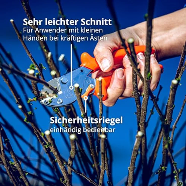 Ambossschere, Original Löwe Klingen, Nach innen geschwungene Griffe - Schneidet Äste bis Durchmesser 16 mm verblüffend leicht mittelgroß – Bild 7