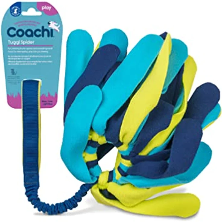 Company of Animals Coachi Tuggi Spider, robustes Tierspielzeug für Zerrspiele, dehnbarer Bungee-Griff, ideal für Hunde und Welpen, Belohnungstraining und Agility – Bild 1