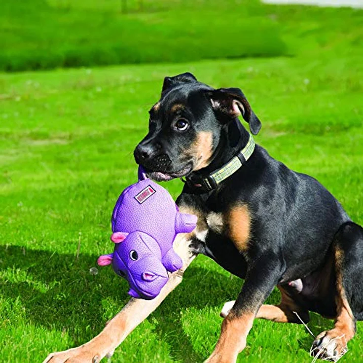 Kong - Phatz Hippo Medium - (KONGRPA21E) – Bild 2