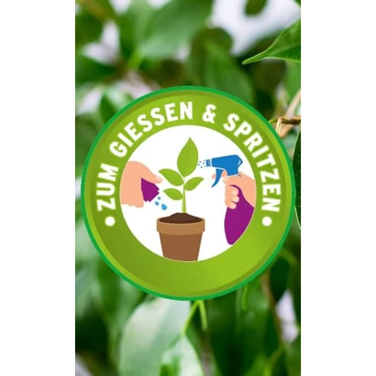 Substral Eisendünger 250 ml – Bild 5