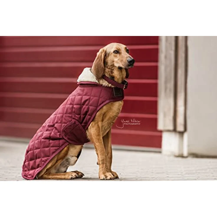 Kentucky Hundemantel Bordeaux XL 60-70cm, 160g Füllung, künstliches Kaninchenfutter, diamantenes Steppmuster – Bild 2