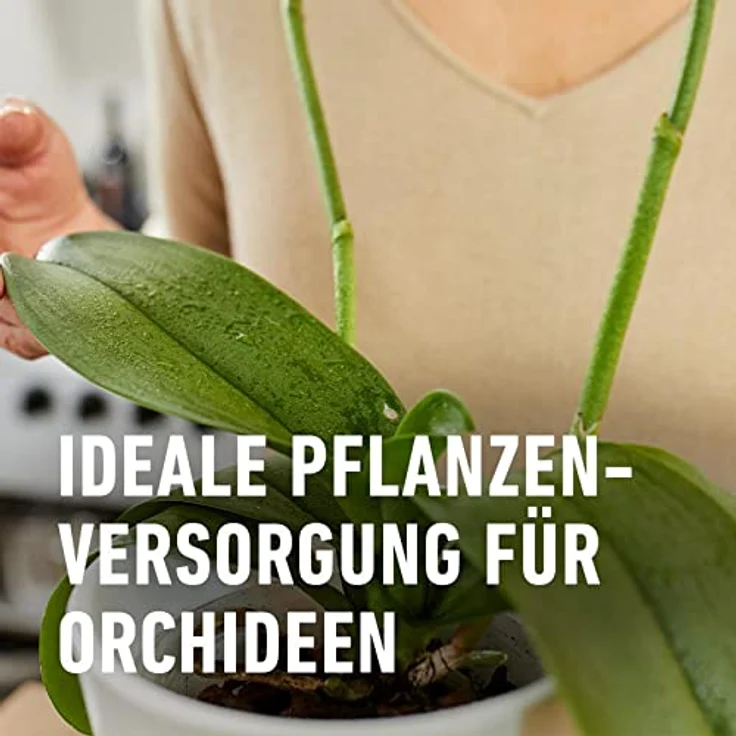 Compo Düngestäbchen für Orchideen – Bild 4