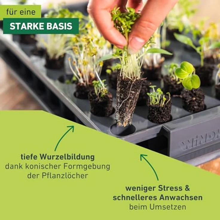 Windhager Anzucht-Gewächshaus RootXtender 3in1, eckig in schiefergrau, für bis zu 40 Pflanzen, mit konischen Pflanzlöchern zur Wurzelbildung, 39 x 25 x 13 cm – Bild 4