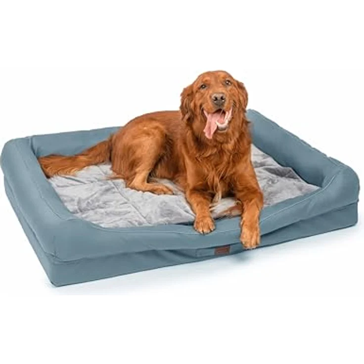RAIKOU Hundebett mit abnehmbarem Kissen, gepolstert und waschbar – Hochwertiges Tierbett für Ihren treuen Begleiter (Blau, 100 * 80 * 9cm) – Bild 4