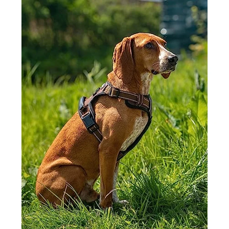 lionto Hundegeschirr gepolstert Anti Zug Geschirr reflektierend Sicherheitsgeschirr verstellbar, Größe S, braun – Bild 2