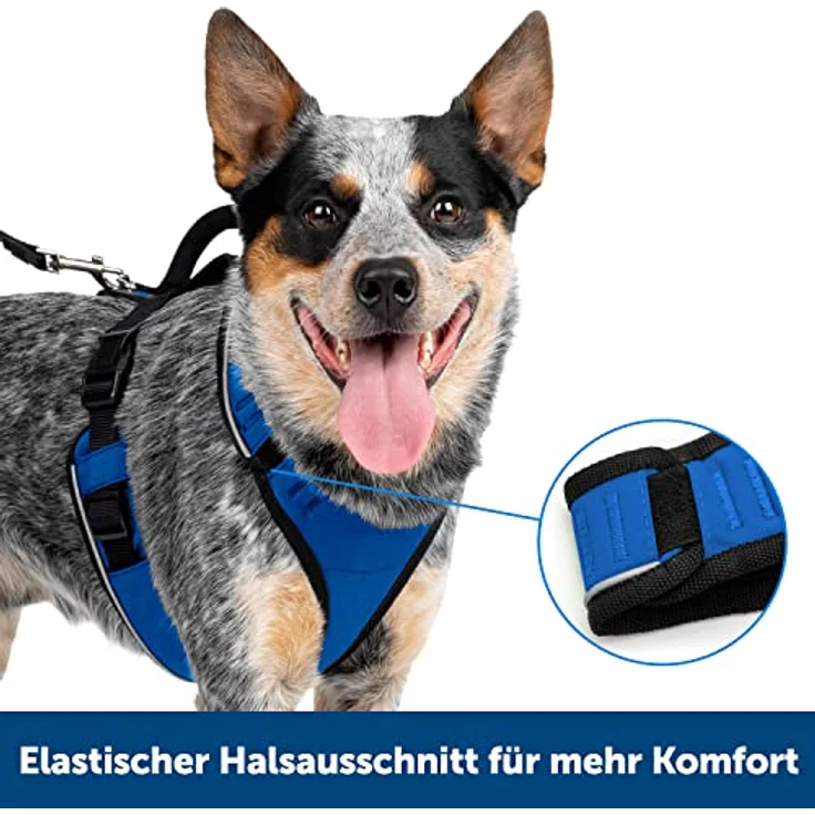PetSafe EasySport Geschirr (Hund, Spazieren), Halsband + Leine – Bild 2