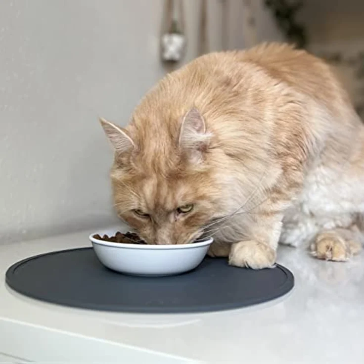 LucyBalu® Katzennapf aus Melamin | Hochwertiger Futternapf & Wassernapf für Katzen | Melamin Fressnapf & Trinknapf Katzen | Katzenfutter Melamin Napf | Katzen 2er Napfset | Weiß – Bild 3