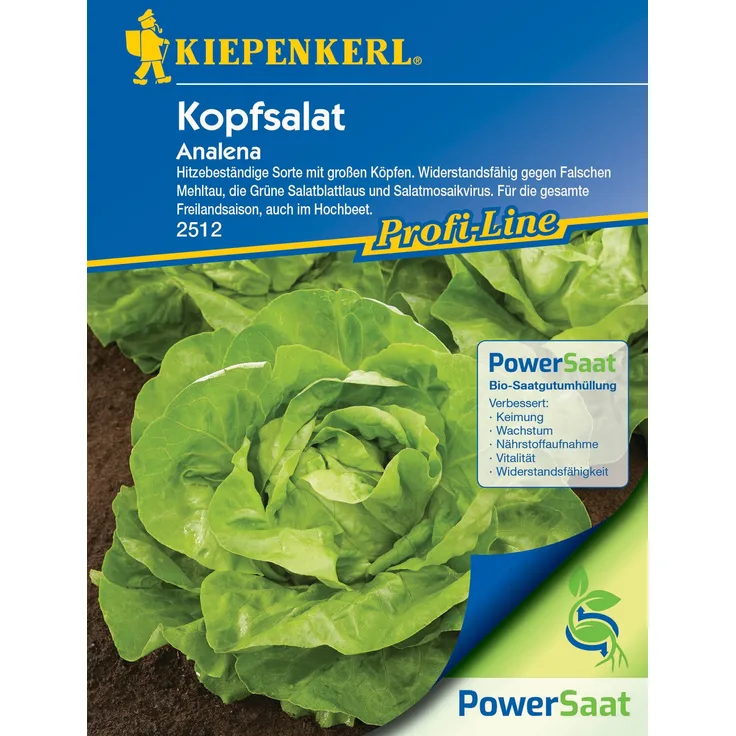 Kopfsalat Analena PowerSaat
